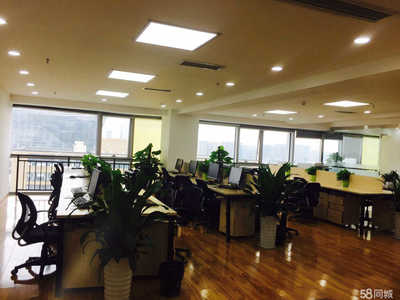 成都信城錦蓉商務(wù)信息咨詢 企業(yè)管理咨詢的專(zhuān)業(yè)伙伴