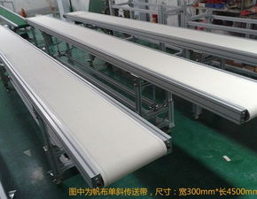 廠家直銷 高效可靠的食品自動(dòng)化雙皮帶流水線解決方案